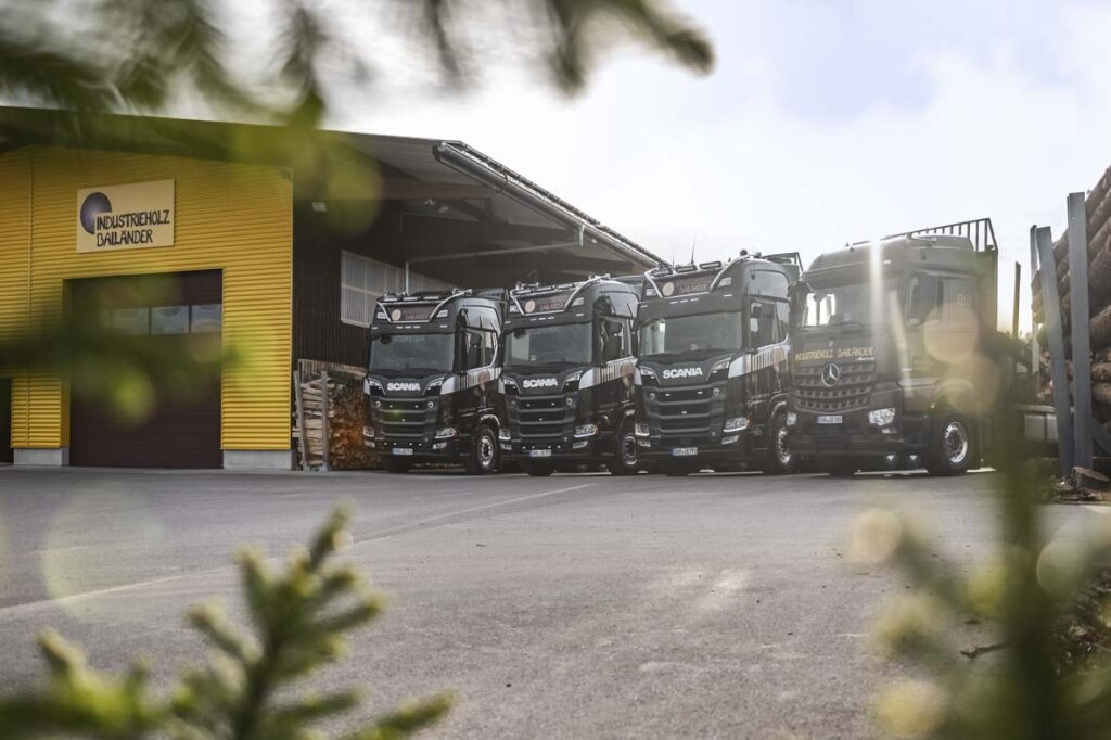 Aufnahme aller 4 Rundholz-LKW's durch Tannenzweige hindurch. Sie stehen neben der gelben Lagerhalle und von hinten bricht die Sonne durch.