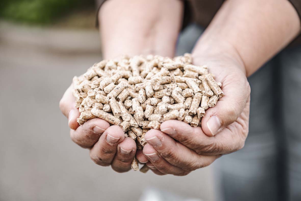 Nahaufnahme von 2 Händen die mit Pellets gefüllt sind.