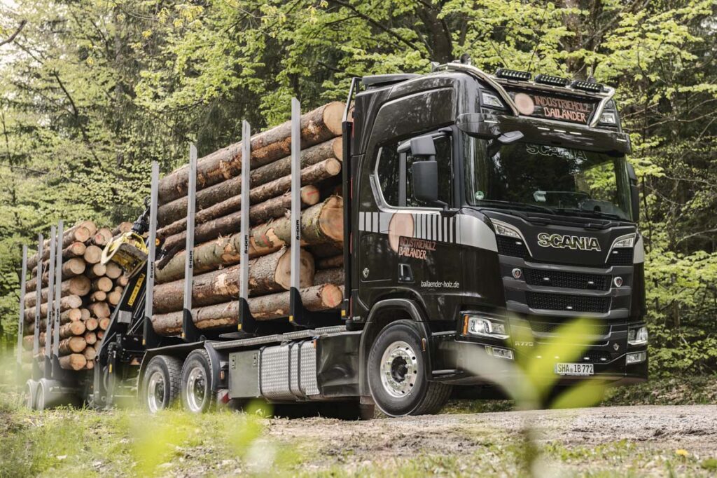 Mit Holzstämmen beladener Rundholz-LKW im Wald, im Vordergrund sind grüne Zweige in der Unschärfe zu sehen.